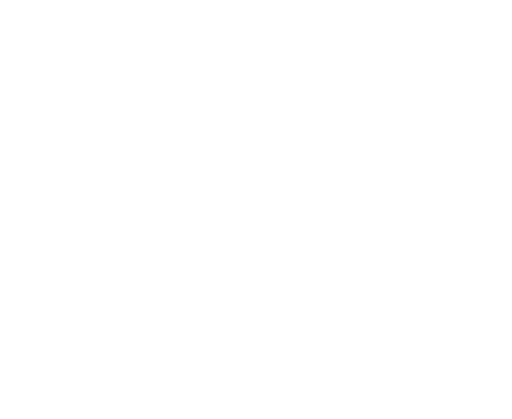 World Security Federation Branco gerenciamento de riscos